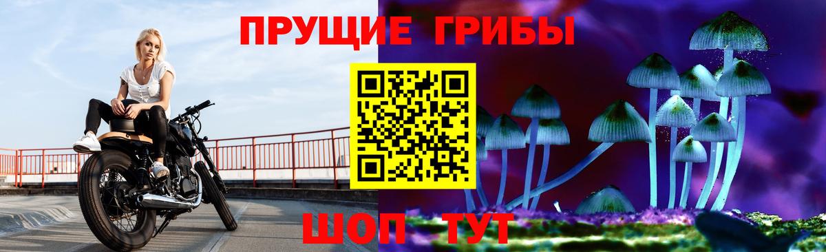 Псилоцибиновые грибы Psilocybine cubensis  Псилоцибиновые грибы Cubensis  Вход с VPN  Санкт-Петербург 